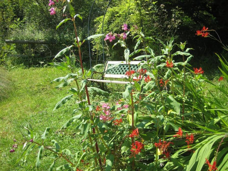 拉姆绍Alte Muehle Mit Wunderbarem Bergblick别墅 外观 照片