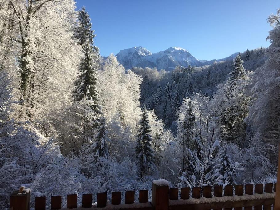 拉姆绍Alte Muehle Mit Wunderbarem Bergblick别墅 外观 照片